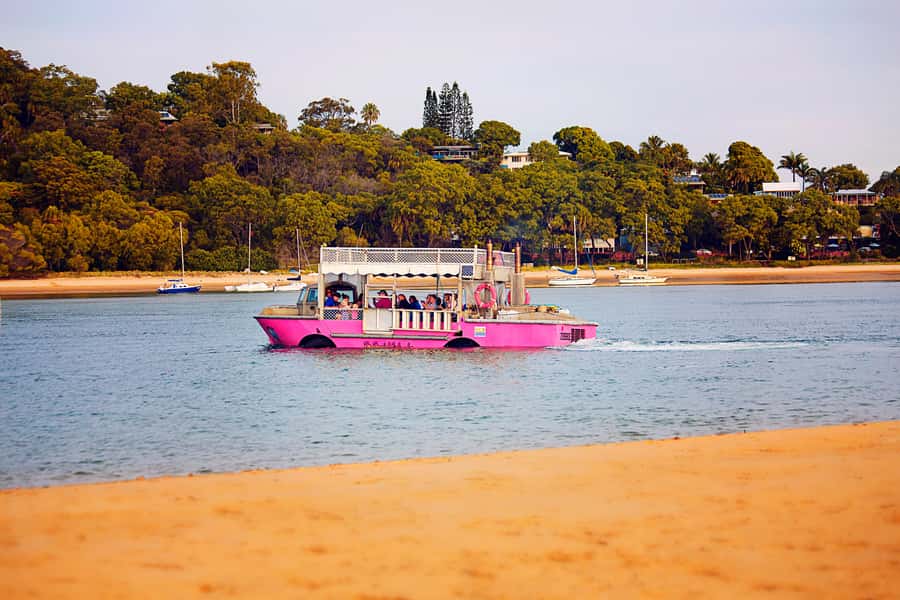 Town 1770: Afternoon Coastline Tour - Along the Eurimbula edge, wildlife spotting becomes part of the fun
