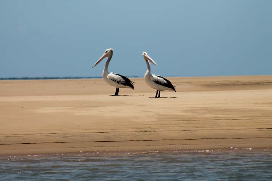 Town 1770: Afternoon Coastline Tour - From 1770 Marina to Round Hill Creek, expect big views fast