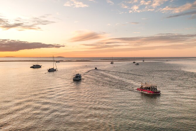 Town of 1770 Afternoon Cruise - Key highlights you should care about