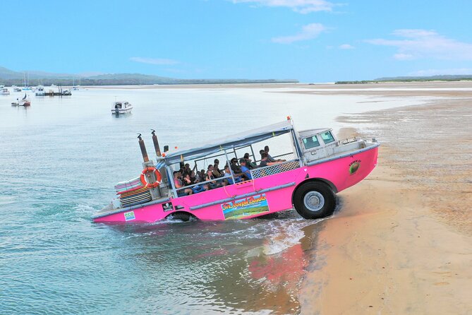 Town of 1770 Afternoon Cruise - Live commentary plus engine noise: how to set yourself up for success