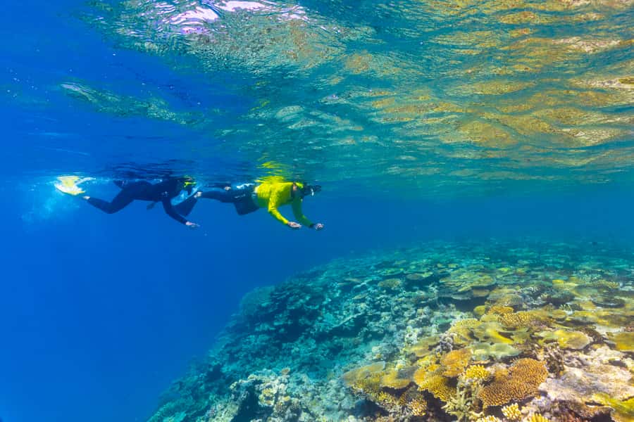 Townsville & Magnetic Island: MOUA & Great Barrier Reef Trip - A custom-built reef day vessel, plus a real focus on the water