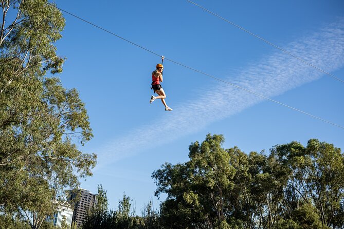 Tree Top Activity for Thrill Seekers and Adventurers in Adelaide - Key highlights worth circling