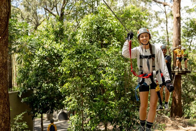 TreeTop Challenge Currumbin Wildlife Park - Quick reasons the TreeTop Challenge works