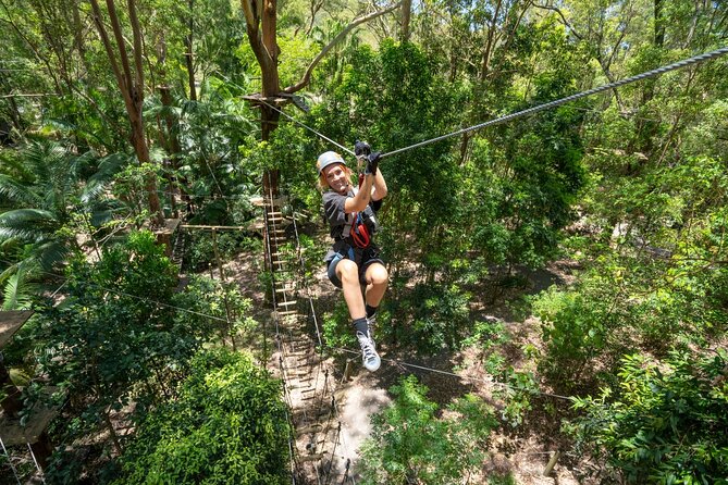 TreeTop Challenge Currumbin Wildlife Park - Seven circuits and 14 ziplines, how the difficulty ramps up