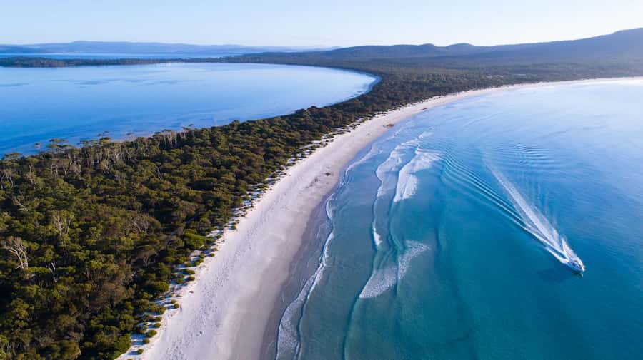 Triabunna: Maria Island and Ile Des Phoques Day Trip by Boat - Darlington on Maria Island: history tour or beach time at your pace