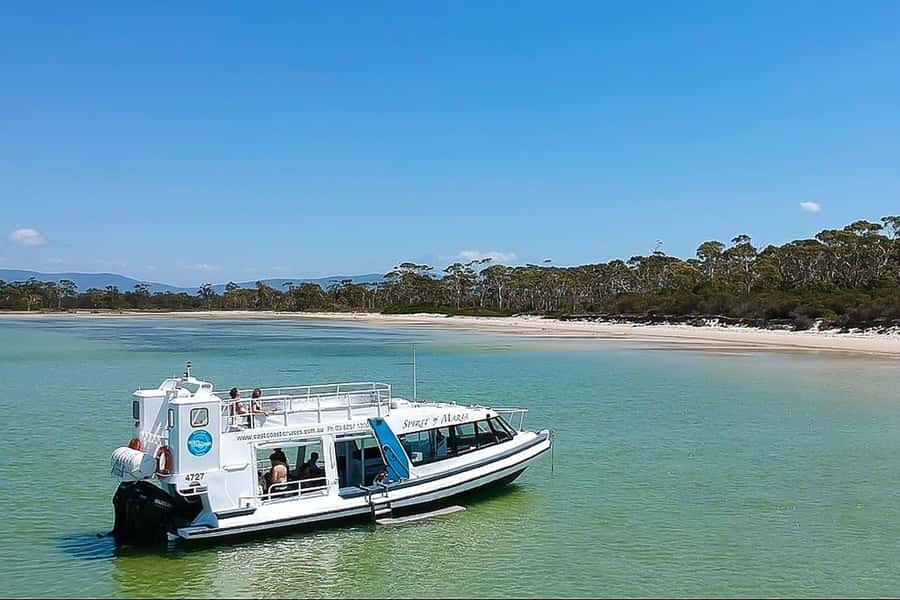 Triabunna: Maria Island and Ile Des Phoques Day Trip by Boat - The speedboat cruise: Île des Phoques, caves, and the wildlife rhythm
