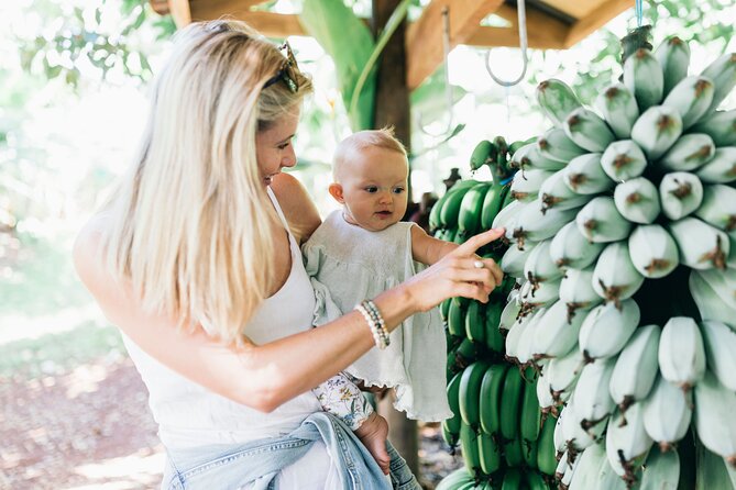 Tropical Fruit World Farm Full Tour - Plantation Safari Energy: The Guided Fruit Tasting Talk and What to Watch For