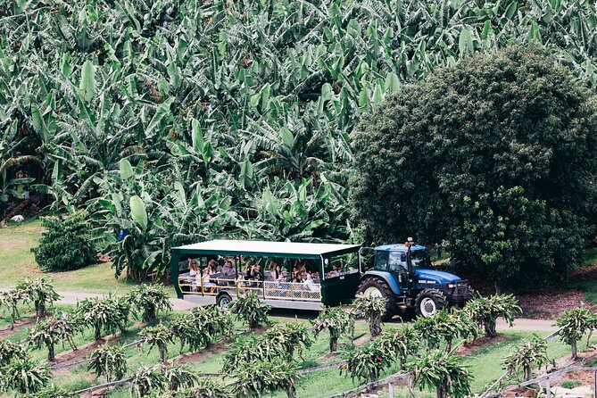 Tropical Fruit World Farm Full Tour - Price and Value: Does $75 Make Sense Here?