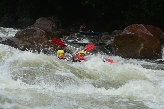 Tully River White Water Rafting Half day- from Mission Beach - Wildlife and Rainforest Views You Can Actually Spot
