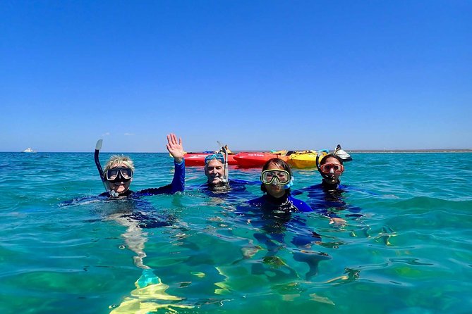 Turtle Tour - Ningaloo Reef Half Day Sea Kayak and Snorkel Tour - Exmouth Half-Day Timing That Works