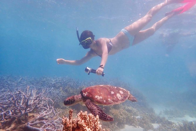 Turtle Tour - Ningaloo Reef Half Day Sea Kayak and Snorkel Tour - The Beach Snack Stop: The Perfect Midpoint Reset
