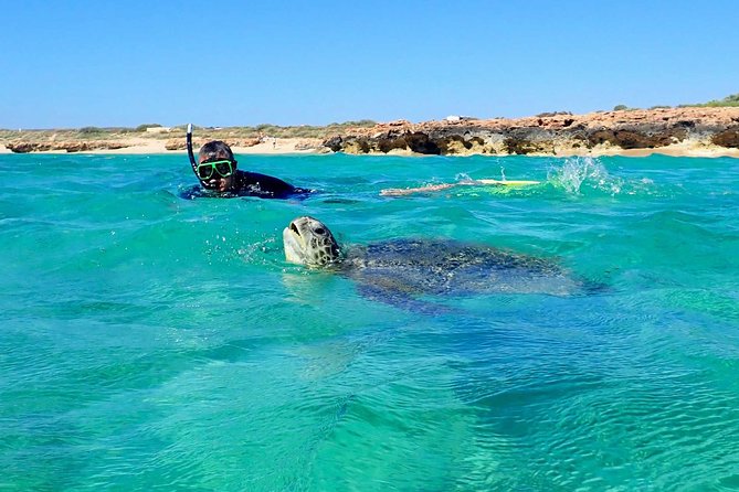 Turtle Tour - Ningaloo Reef Half Day Sea Kayak and Snorkel Tour - Getting Kitted Out: Gear That Lowers the Stress