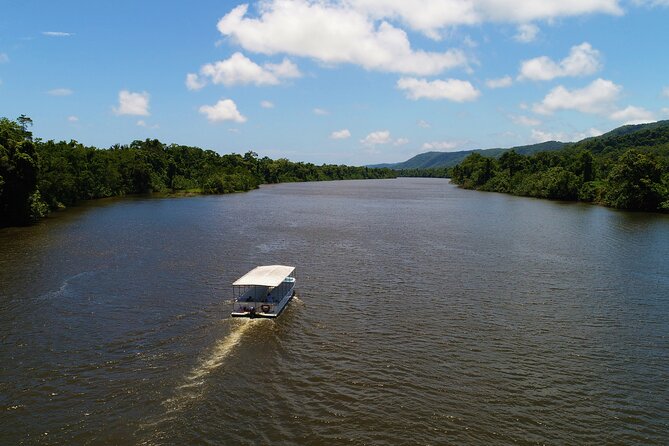 Ultimate Daintree Rainforest Wildlife Experience Cruise - Daintree River Wildlife From the Water, Not the Trail