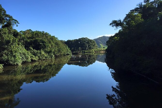 Ultimate Daintree Rainforest Wildlife Experience Cruise - Meeting Point at 2914 Mossman Daintree Rd, Lower Daintree
