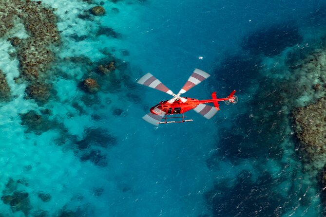 Ultimate Great Barrier Reef and Rainforest 45-minute Helicopter Tour - Key Points Before You Go