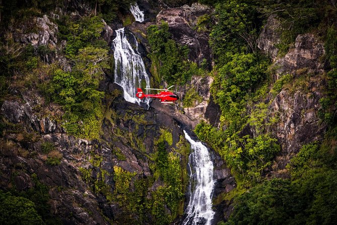 Ultimate Great Barrier Reef and Rainforest 45-minute Helicopter Tour - Cairns From Above: Why This 45-Minute Format Works