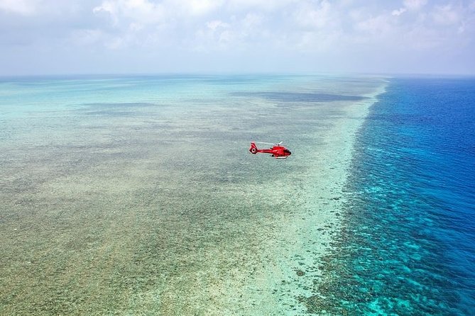 Ultimate Great Barrier Reef and Rainforest 45-minute Helicopter Tour - Small-Group Touring: More Window Time, Less Chaos