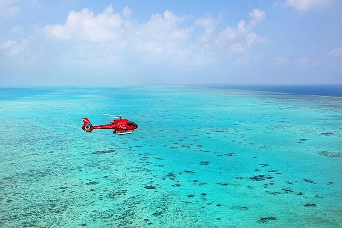 Ultimate Great Barrier Reef and Rainforest 45-minute Helicopter Tour - Value and Price: Is $451.29 Worth It?