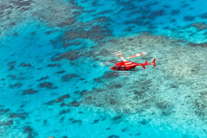 Ultimate Great Barrier Reef and Rainforest 45-minute Helicopter Tour - Nautilus Aviation Check-In, Meeting Point, and What to Plan