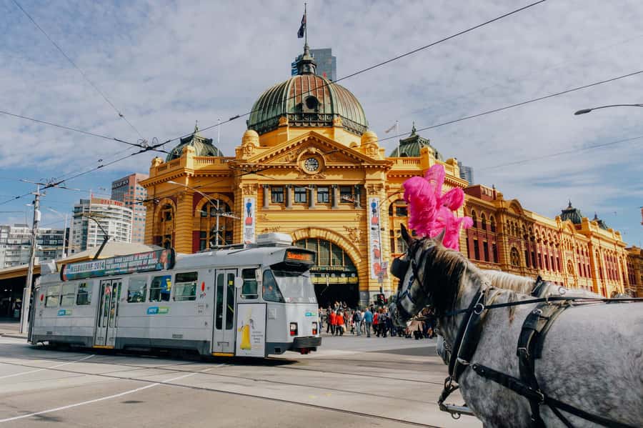 Ultimate Melbourne Walking Tour: History, Laneways & Culture - Should you book the Ultimate Melbourne Walking Tour?