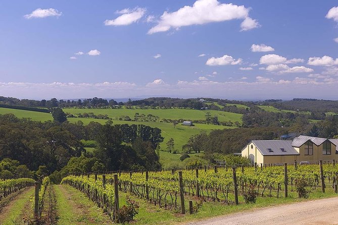 Ultimate Mornington Peninsula Food and Wine Small Group Tour - Pt. Leo Estate: Where the Day Builds Momentum