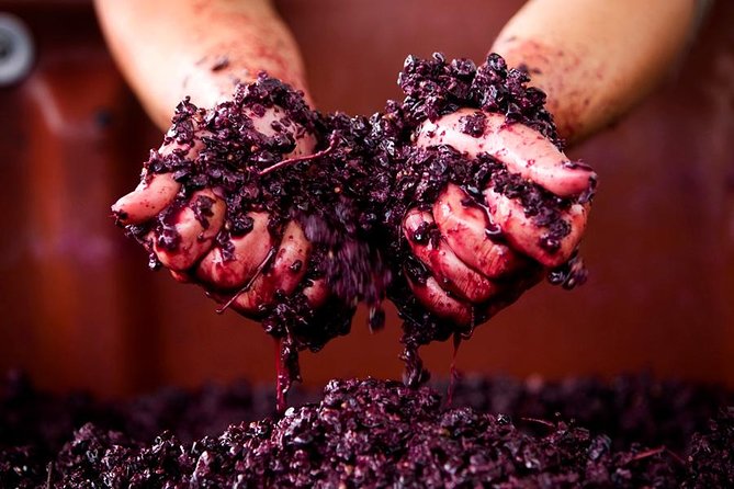 Ultimate Mornington Peninsula Food and Wine Small Group Tour - How This Tour Works as a Real Melbourne Day Trip