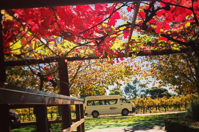 Ultimate Swan Valley Food and Wine Day Trip from Perth - Winery tasting stops: what’s included and how to make it enjoyable