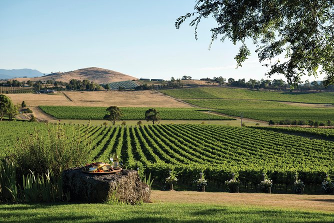 Ultimate Yarra Valley Chandon, Soumah & De Bortoli Cheese & Wine - Chandon Guided Tasting: Sparkling Wine Without the Guesswork