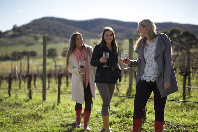 Ultimate Yarra Valley Chandon, Soumah & De Bortoli Cheese & Wine - Kangaroo Time and the Drive Back to Melbourne