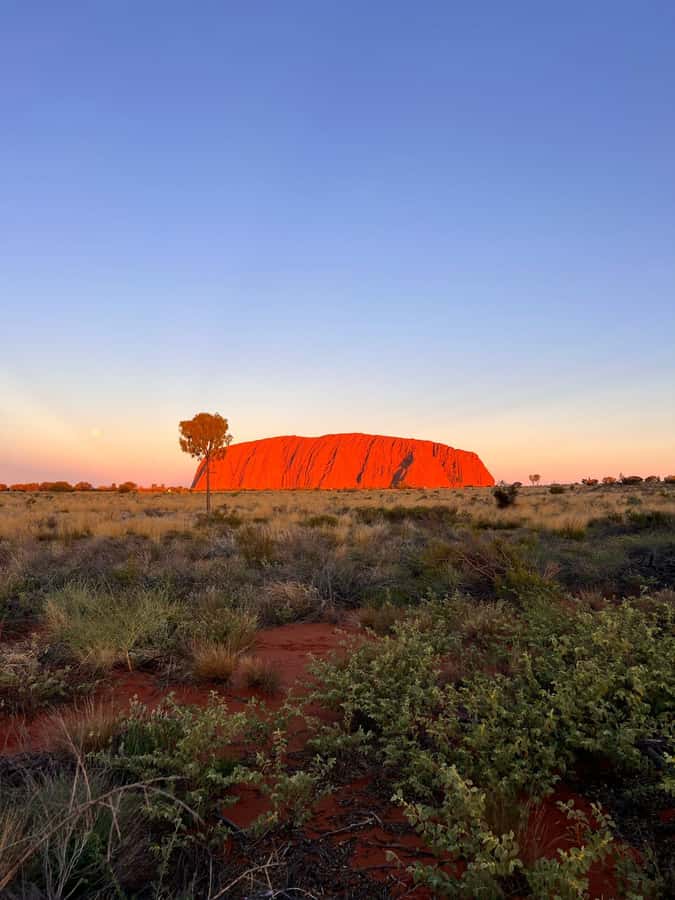 Uluru: 4-Day Rock to Rock Adventure Tour - Key Things That Make This Tour Worth Your Time