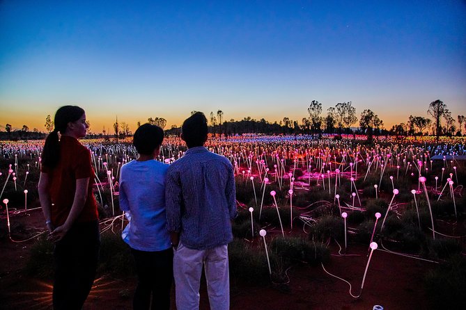 Uluru (Ayers Rock) Field of Light Sunrise Tour - Key points before you go