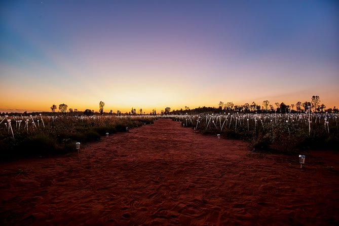 Uluru (Ayers Rock) Field of Light Sunrise Tour - Sunrise over Uluru, plus Kata Tjuta in the same frame
