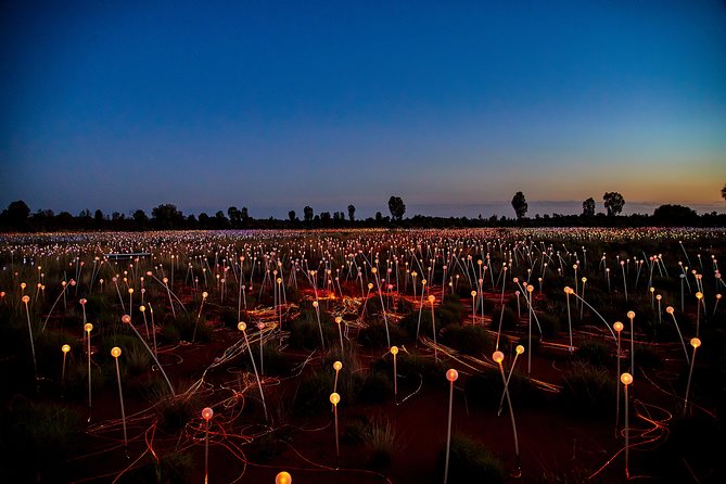 Uluru (Ayers Rock) Field of Light Sunrise Tour - The guide and the warm drinks: small touches that change the mood