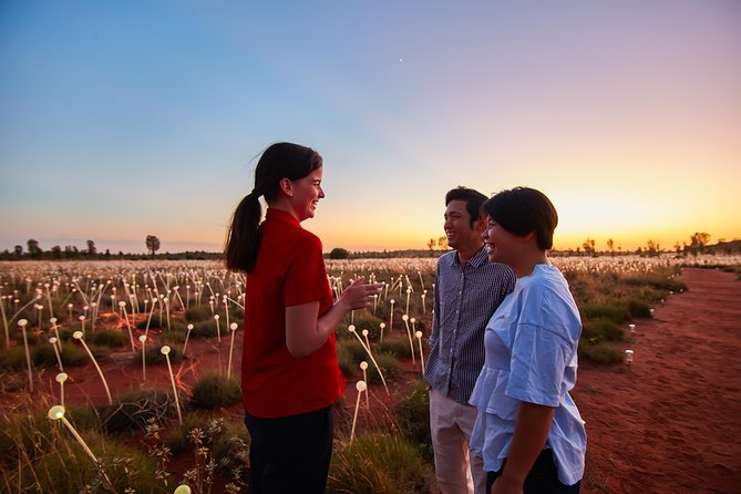 Uluru (Ayers Rock) Field of Light Sunrise Tour - Walk time, terrain, and what to expect physically
