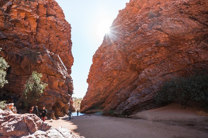 Uluru (Ayers Rock) to Alice Springs One-Way Shuttle - Attila, Mt Conner, and That Giant Mesa Feeling