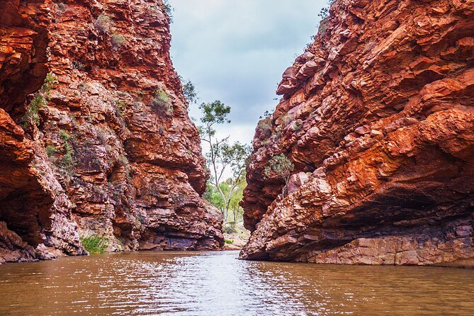 Uluru (Ayers Rock) to Alice Springs One-Way Shuttle - Along the Stuart Highway: Rugged Gorges and Peaks Ahead