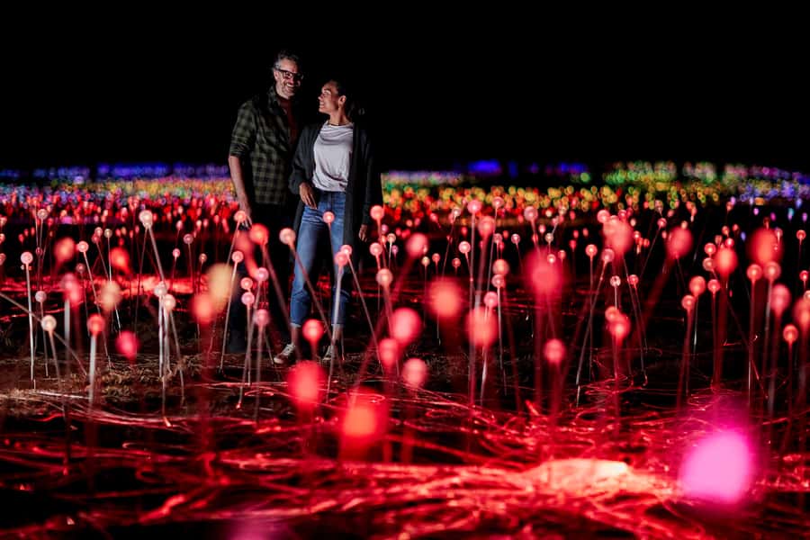 Uluru: Field of Light Sunrise Tour with Hot Drinks - Key things that make this tour worth your time