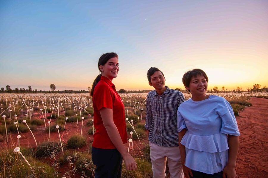 Uluru: Field of Light Sunrise Tour with Hot Drinks - Hot drinks at the top: staying warm without losing the moment