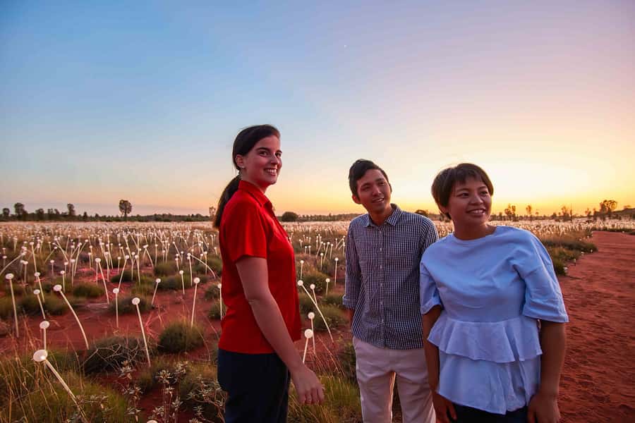 Uluru: Field of Light Sunrise Tour with Hot Drinks - Uluru sunrise from a raised viewpoint: watching the color shift