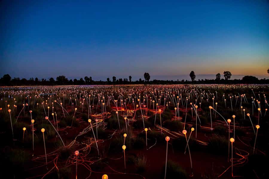 Uluru: Field of Light Sunrise Tour with Hot Drinks - Kata Tjuta along the route: quick scenic context, not a full stop
