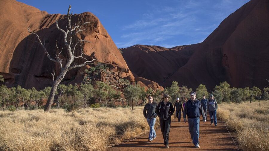 Uluru Highlights Small Group Morning Tour + Picnic Breakfast - Who this tour is best for