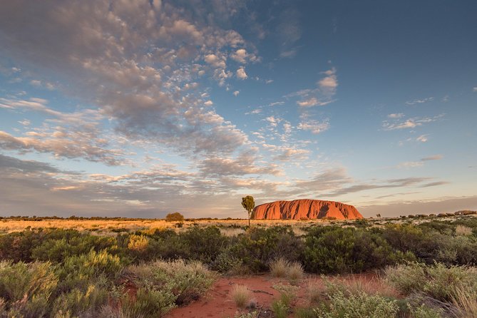 Uluru, Kata Tjuta and Kings Canyon Camping Safari from Alice Springs - Key Things That Make This Safari Worth Your Time