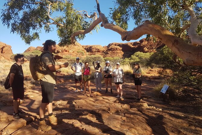 Uluru, Kata Tjuta and Kings Canyon Camping Safari from Ayers Rock - Who this tour fits best, and who might struggle