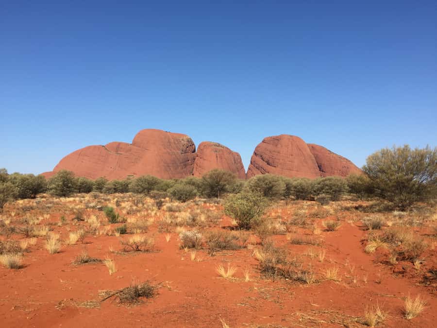 Uluru, Kata Tjuta & Kings Canyon Camping Tour - Day 3: Kings Canyon rim walk, Lost City, Garden of Eden, then back to Yulara