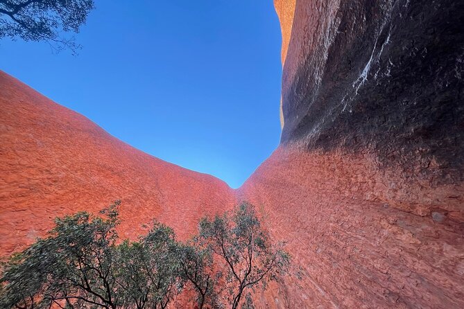 Uluru Private Tour Aboriginal guided option - Kuniya Walk: stories tied to each variation of place