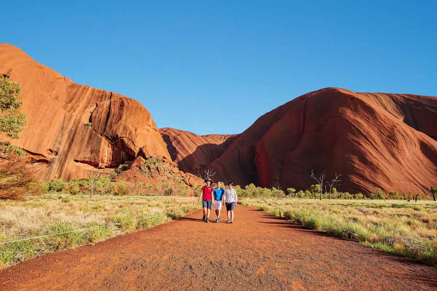 Uluru: Sacred Sites & Sunset Tour with Wine & Cheeseboard - Key highlights you will actually care about