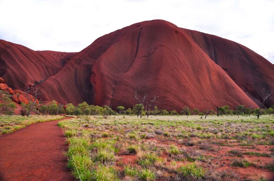 Uluru: Sacred Sites & Sunset Tour with Wine & Cheeseboard - Kuniya Walk to Mutitjulu Waterhole: Ancient Rock Art and Real Meaning