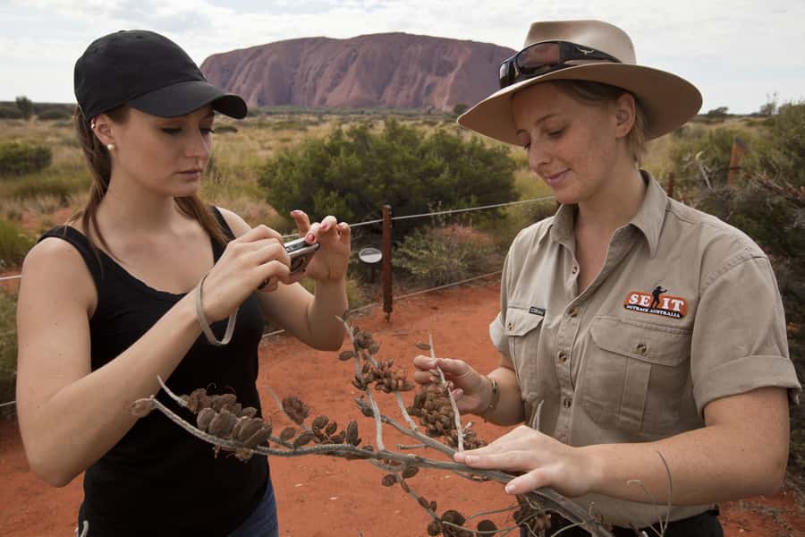 Uluru: Small Group Guided Tour with Sunset Refreshments - First walk step: a calm start before the rock art lessons