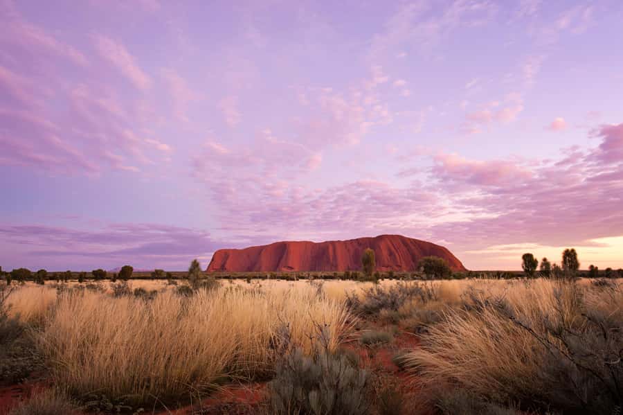 Uluru: Sunset, Sparkling Wine, Cheeseboard & Gourmet BBQ - Price and value: is $222 per person fair for this night?