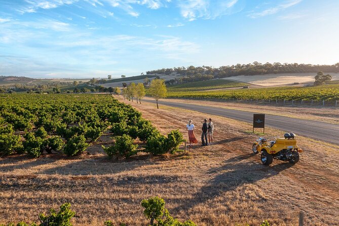 Unique Trike Barossa Valley Half Day Private Tour For 2 - Why a trike tour works so well in the Barossa Valley